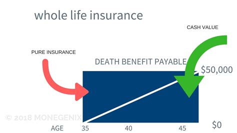 permanent life insurance cash amount